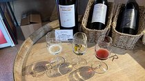 Visit DEs Vineyards of Lavaux and Wine Museum at the Château d'Aigle