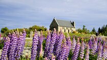 Mount Cook & Lake Tekapo 2-Day Stargazing tour from Christchurch