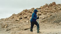 7 Days MT Kilimanjaro Private Hiking VIA Machame Route