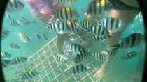Explore Gili Nanggu Gili Sudak and Gili Kedis in a Day