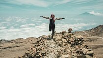 Six Days Mount Kilimanjaro Private Hiking via Machame Route