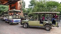 Game Drive and Short Rhino Walking Safari 