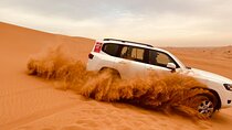 Dubai Morning Desert Safari Red Dune Camel Falcon & Sandboarding