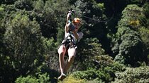 Apaneca Combination Trip: ATV and Zipline Experience