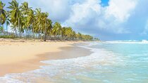 Saona Island Adventure From Santo Domingo