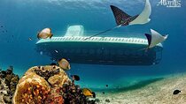 Cozumel EN Submarine Tour from Cancun or Playa del Carmen