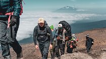 2 Days MT Kilimanjaro Hiking VIA Marangu Route Private Tour