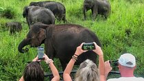 Sigiriya Rock Climb, Village Tour+Cooking Class & Elephant Safari