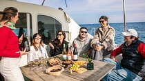 Barcelona Premium Wine Tasting & Tapas in Catamaran - Small Group