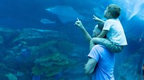 Dubai Aquarium and Underwater Zoo