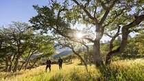 Walking safari & game drive Day trip in Arusha National park