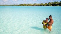 Saona VIP Three Beach Paradise and Turtle Sanctuary Experience