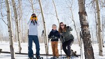 Private 4 hour Snowshoe in Grand Teton National Park