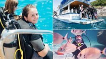 Scuba Diving in Marmaris and Icmeler with Lunch and Transfer 