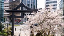 Private Tour in Tokyo with Local Guide