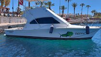Biggame Fishing in Side