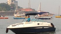 Elephanta Caves Tour by Private Speed Boat