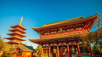 Private Tokyo Tour with English Speaking Guide 