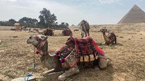 Private guided tour to Giza Pyramids Sphinx Memphis and Saqqara
