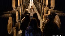 Poças Guided Visit and Port Wine Tasting with Pastel de Nata