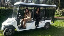 Tour at Villa Borghese ,Hotel pick-up, custom timetable