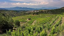 Priorat two-day Tour with Cava Winery and Private Guide