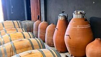 Tarragona Private Food and Wine Tour from Barcelona