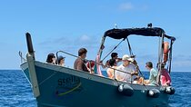 Boat Tour: Portovenere and the 3 islands with aperitif included