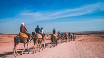  Marrakech Agafay Desert Camel Riding, Quad biking and Diner Show