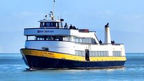 San Francisco Bay Cruise and City Combo Tour