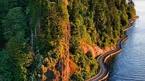 Explore Stanley Park on Electric Scooters