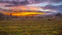 Albariño Wine Exclusive Private Tour, views & Michelin Star lunch