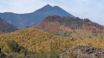 Etna Trekking from Taormina 