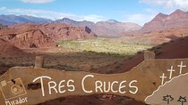 Full Day Tour to Cafayate Tierra del Sol and Good Wine