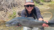 Guided Fly Fishing Float Trip | San Juan River