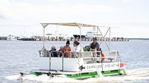 Trinity Inlet Self-Drive Pontoon Boat Hire in Cairns