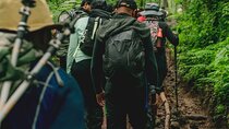 5 Days Mt. Kilimanjaro Exploration via Marangu Route