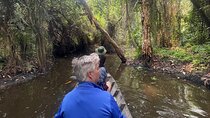 Private Mekong Delta Tour: Cai Be Village and Cajuput Forest