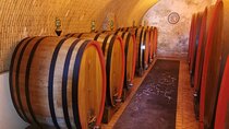 Etna Wine and Randazzo town from Taormina 