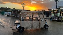 Florence Private Electric Car Tour with Guide