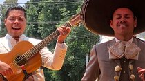 Frida´s World, Discover Coyoacan, Xochimilco and Her Legacy