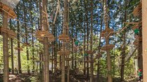 Treetops Adventure The Hills - Tree Ropes Course
