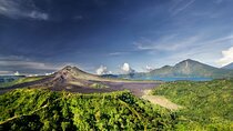 Full Day Kintamani Tour
