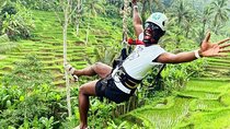 Ubud Rice terrace,Zip-line and waterfall 