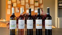 Guided Tour + Exclusive 5 wine Tasting