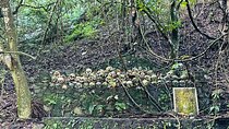 Terunyan Cemetery Tour