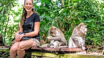 Ubud : One Day Tour With Private Guide and Car