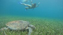 3 EN 1 Catamaran with Snorkeling Barra Libre and Isla Mujeres