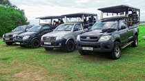 Yala Safari from Ella and Drop Off Mirissa Tangalle and Galle