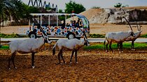 Dubai Safari Park Visit with Hotel Pickup and Drop-off